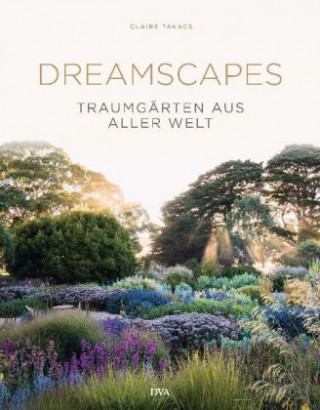 Kniha Dreamscapes Claire Takacs