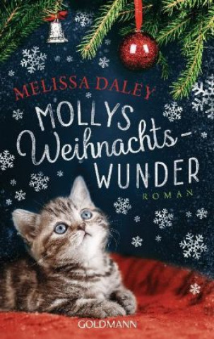 Könyv Mollys Weihnachtswunder Melissa Daley