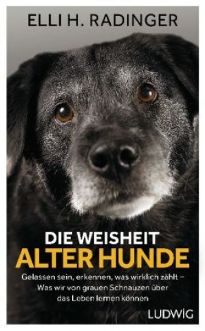 Könyv Die Weisheit alter Hunde Elli H. Radinger