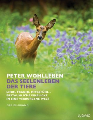 Könyv Das Seelenleben der Tiere Peter Wohlleben