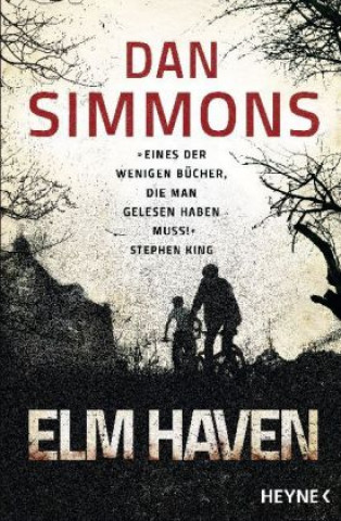 Książka Elm Haven Dan Simmons