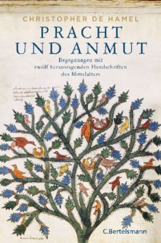 Kniha Pracht und Anmut Christopher De Hamel
