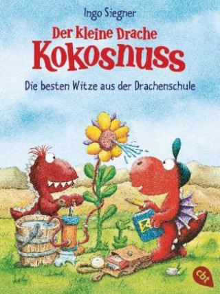 Könyv Der kleine Drache Kokosnuss - Die besten Witze aus der Drachenschule Ingo Siegner