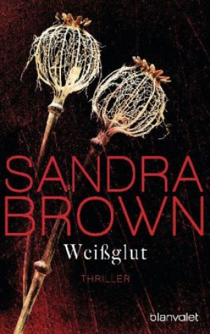 Könyv Weißglut Sandra Brown
