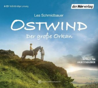 Audio Ostwind 06 - Der große Orkan (Hörbuch) Lea Schmidbauer