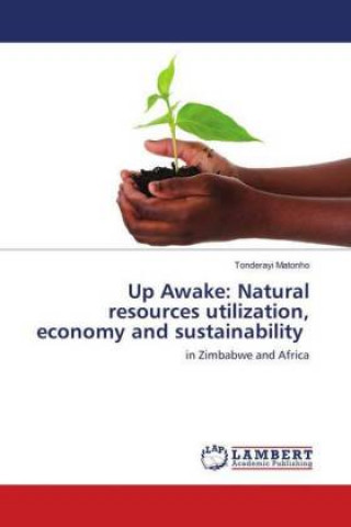 Kniha Up Awake: Natural resources utilization, economy and sustainability Tonderayi Matonho