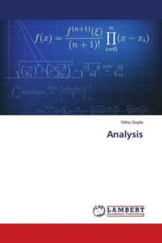 Knjiga Analysis Vidhu Gupta