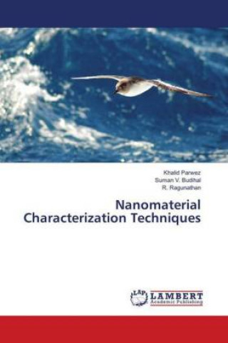 Книга Nanomaterial Characterization Techniques Khalid Parwez