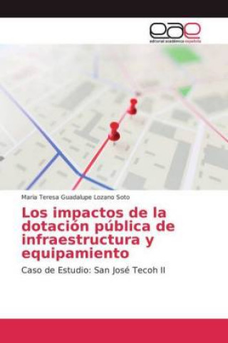 Könyv impactos de la dotacion publica de infraestructura y equipamiento Maria Teresa Guadalupe Lozano Soto