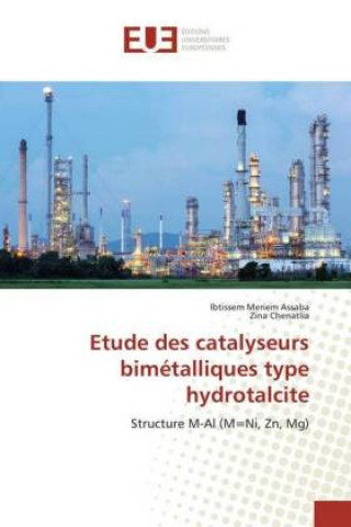 Kniha Etude des catalyseurs bimétalliques type hydrotalcite Ibtissem Meriem Assaba