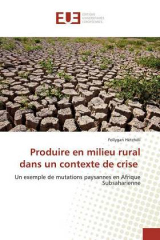 Knjiga Produire en milieu rural dans un contexte de crise Follygan Hétchéli