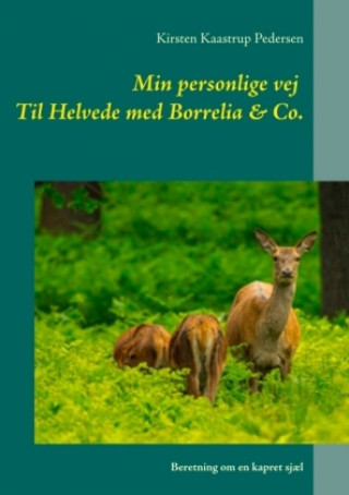 Kniha Min personlige vej Til Helvede med Borrelia & Co. Kirsten Kaastrup Pedersen