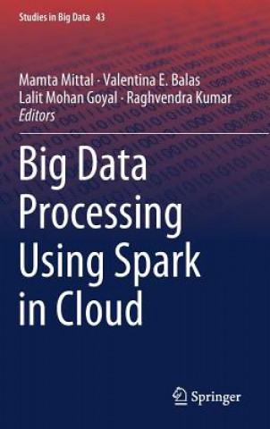 Könyv Big Data Processing Using Spark in Cloud Mamta Mittal