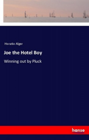 Kniha Joe the Hotel Boy Horatio Alger