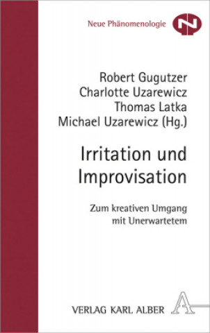 Könyv Irritation und Improvisation Robert Gugutzer