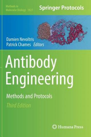 Kniha Antibody Engineering Damien Nevoltris