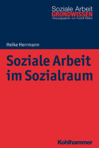 Kniha Soziale Arbeit im Sozialraum Heike Herrmann