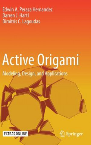 Book Active Origami Edwin A. Peraza Hernandez