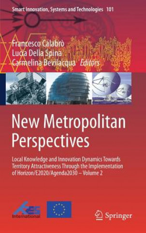 Kniha New Metropolitan Perspectives Francesco Calabr?