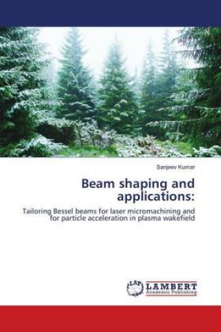 Kniha Beam shaping and applications: Sanjeev Kumar