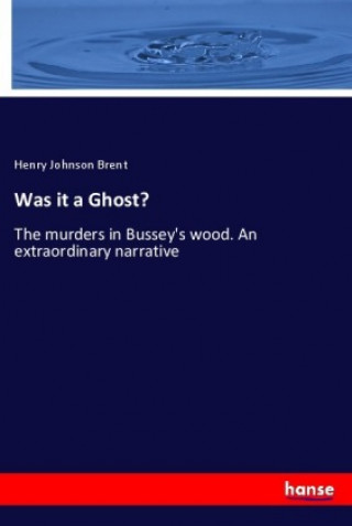 Knjiga Was it a Ghost? Henry Johnson Brent