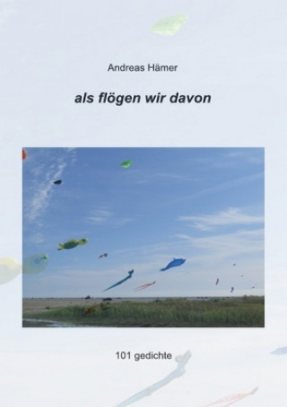 Knjiga als flögen wir davon Andreas Hämer