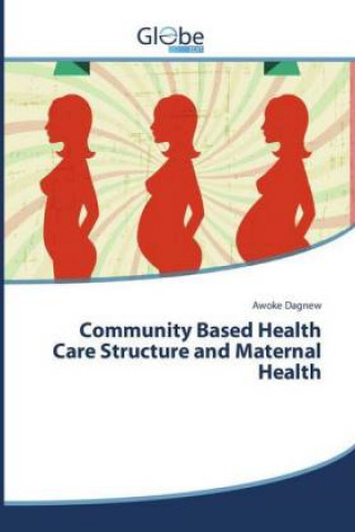 Knjiga Community Based Health Care Structure and Maternal Health Awoke Dagnew