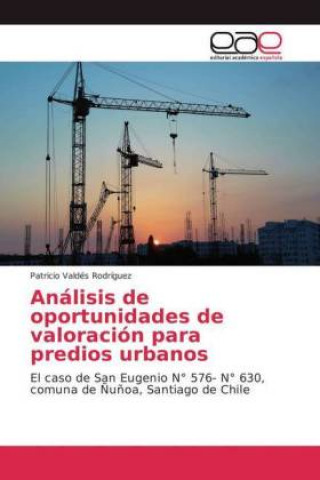 Kniha Analisis de oportunidades de valoracion para predios urbanos Patricio Valdés Rodríguez