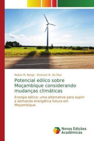 Könyv Potencial eolico sobre Mocambique considerando mudancas climaticas Nelson M. Banga