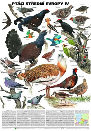Tiskovina Plakát - Ptáci střední Evropy 4. díl 
