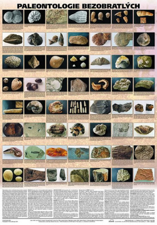 Kniha Plakát - Paleontologie bezobratlých 