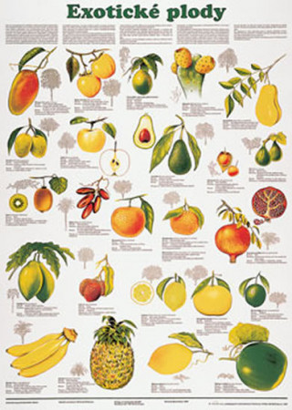 Kniha Plakát - Exotické plody 