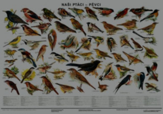 Tiskanica Plakát - Naši ptáci - pěvci Scientia
