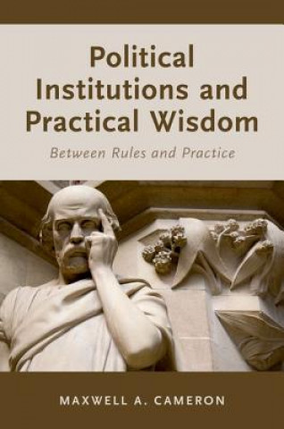 Kniha Political Institutions and Practical Wisdom Cameron