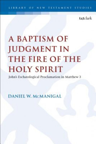 Könyv Baptism of Judgment in the Fire of the Holy Spirit Daniel W. McManigal