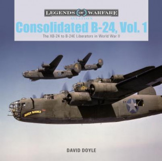 Kniha Consolidated B-24 Vol.1: The XB-24 to B-24E Liberators in World War II DAVID DOYLE.