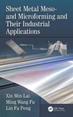 Kniha Sheet Metal Meso- and Microforming and Their Industrial Applications Xin Min Lai