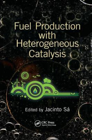 Kniha Fuel Production with Heterogeneous Catalysis 