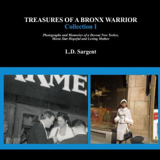 Kniha Treasures of a Bronx Warrior, Collection I L.D. SARGENT