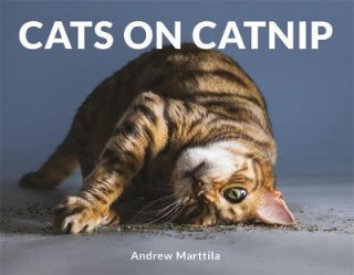 Kniha Cats on Catnip Andrew Marttila