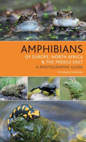 Kniha Amphibians of Europe, North Africa and the Middle East Christophe Dufresnes