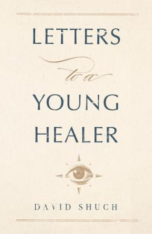 Book Letters to a Young Healer DAVID SHUCH