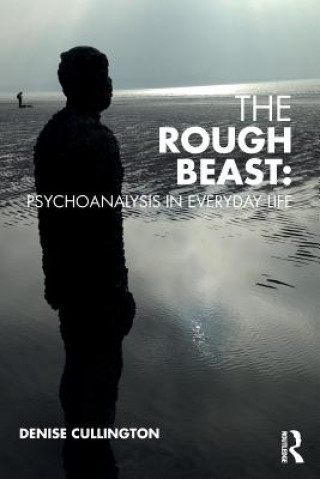 Boek Rough Beast: Psychoanalysis in Everyday Life Denise Cullington