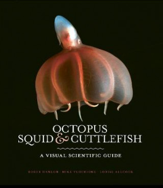 Carte Octopus, Squid & Cuttlefish Roger Hanlon