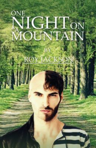 Kniha One Night On A Mountain Roy Jackson