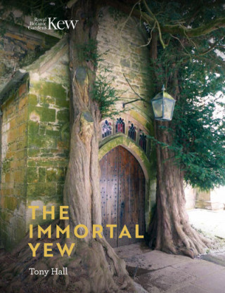 Knjiga Immortal Yew, The Tony Hall