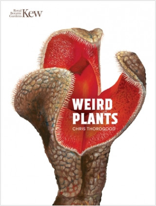 Könyv Weird Plants Chris Thorogood