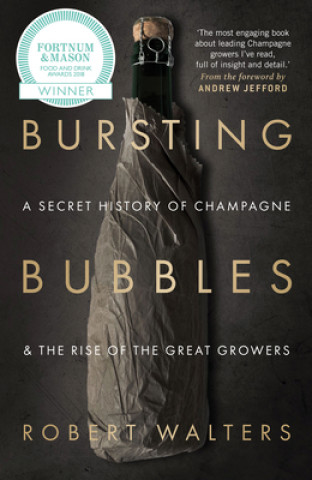 Kniha Bursting Bubbles Robert Walters