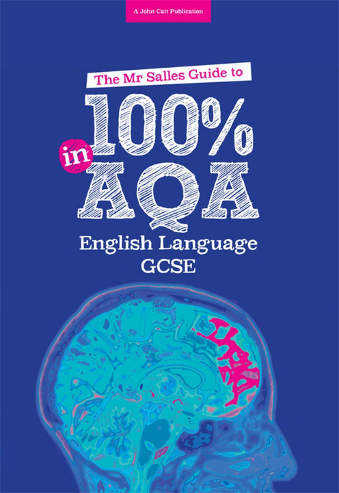 Kniha Mr Salles Guide to 100% in AQA English Language Exam Dominic Salles