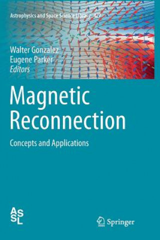 Könyv Magnetic Reconnection WALTER GONZALEZ